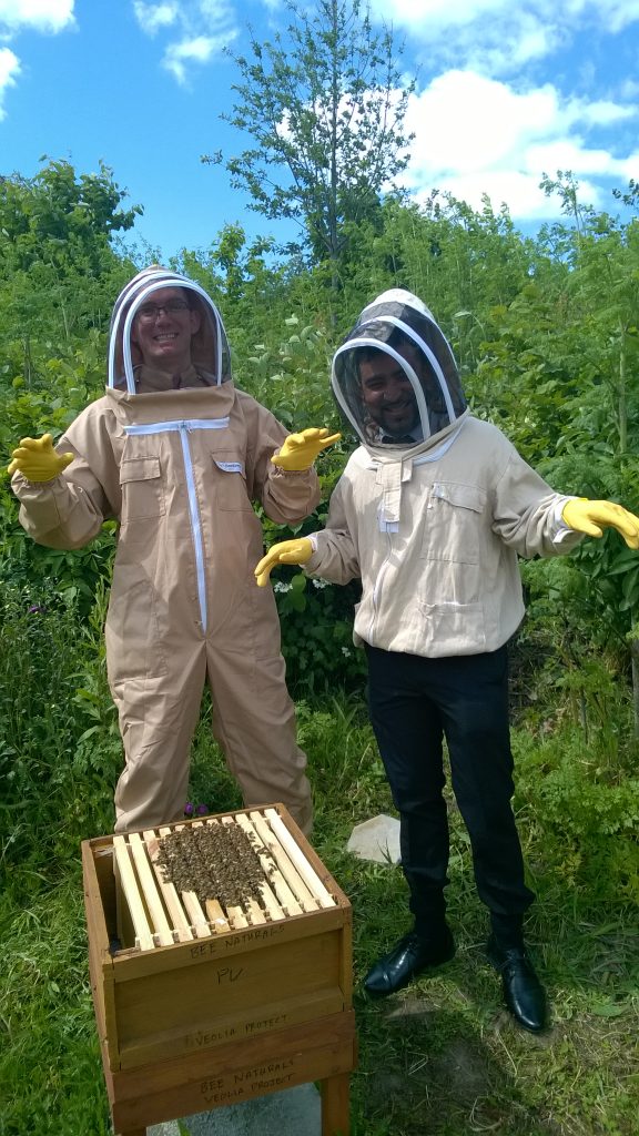 Urban Beekeeping Course 2020