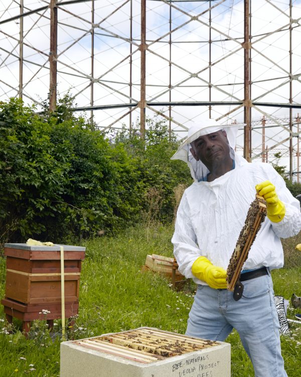 Beginners Beekeeping Course Tutor Paul Vagg